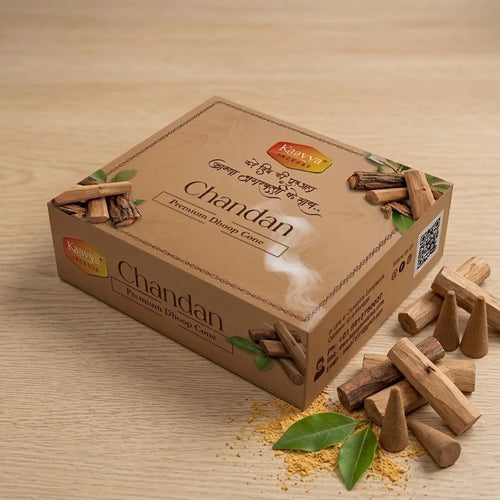 kaavya dhoop cone