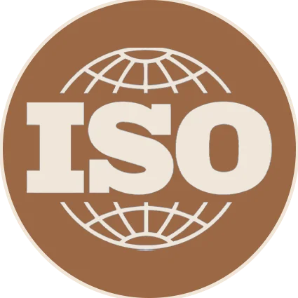 kaavya iso icon