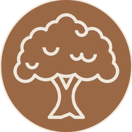 plant tree icon