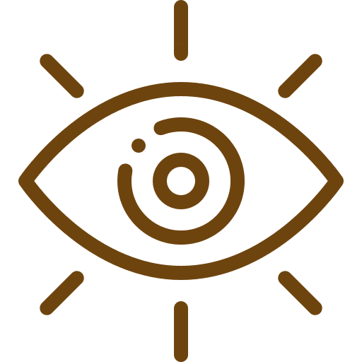 vision icon